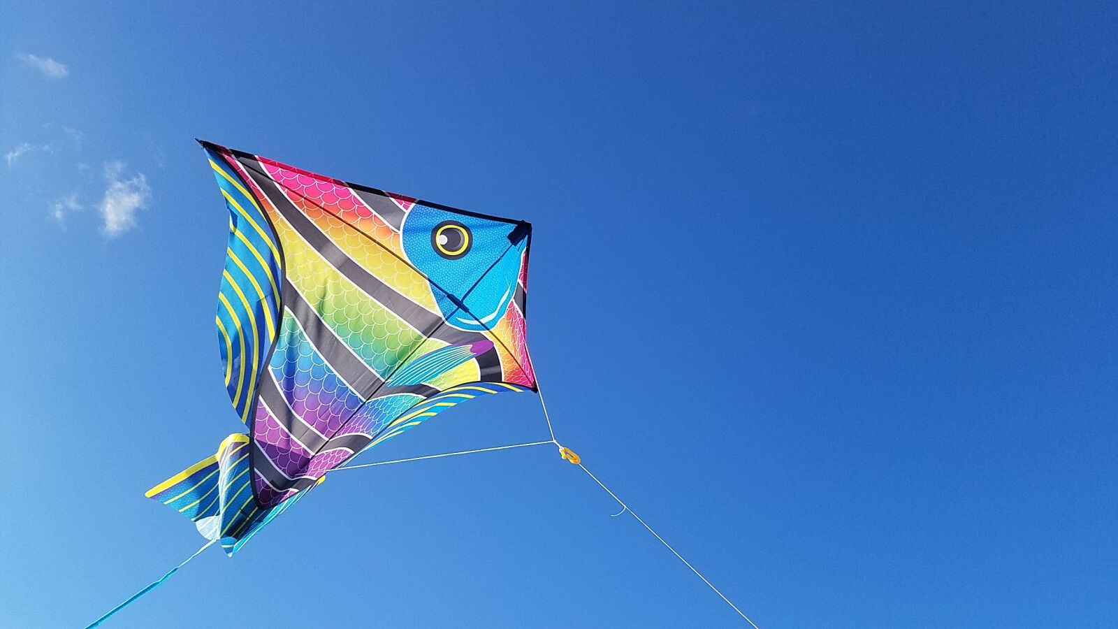 Samsung Galaxy S7 sample photo. Kite, jacksonville, florida photography