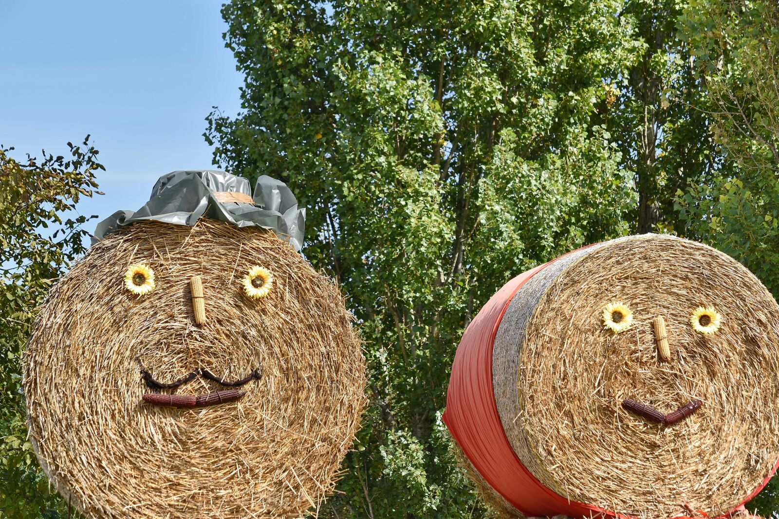 Nikon D5500 sample photo. Harvest, straw, farm, feed photography