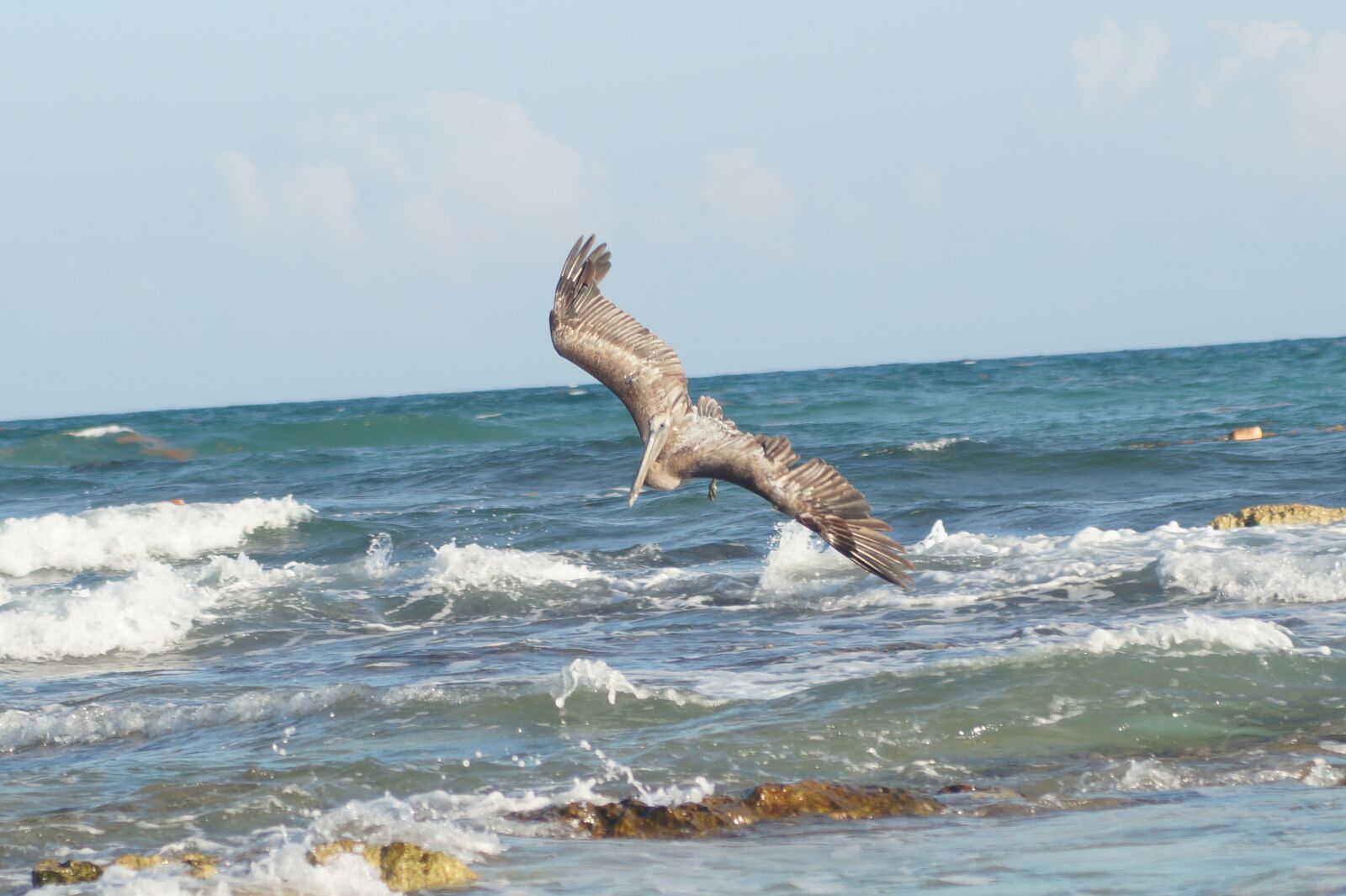 Sony SLT-A58 sample photo. Cancun, nature, paradise photography
