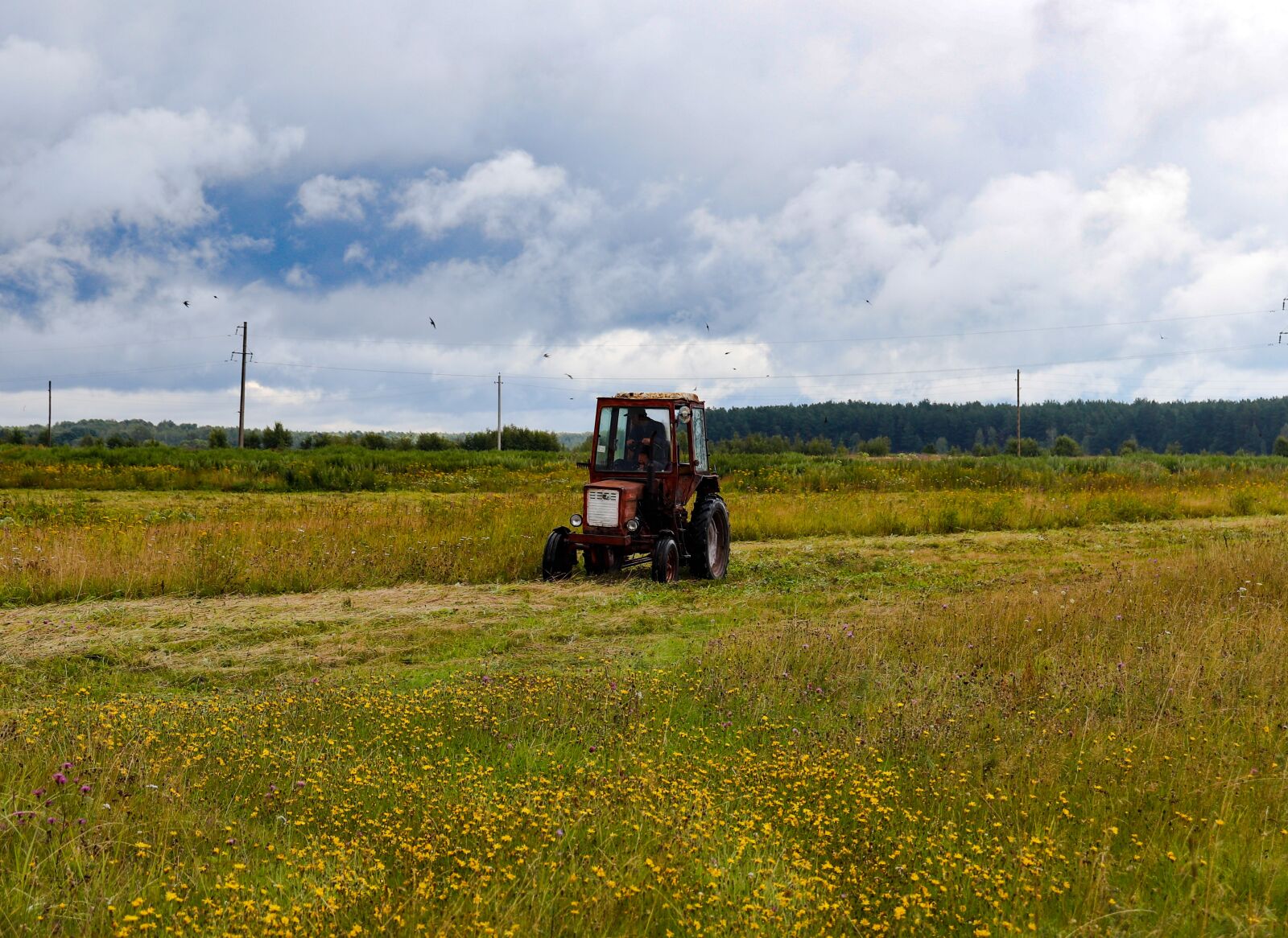 Canon EOS 200D (EOS Rebel SL2 / EOS Kiss X9) sample photo. Field, meadow, tractor photography