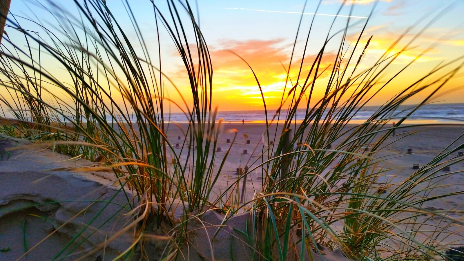 Samsung Galaxy S5 sample photo. Beach, sunset, water photography