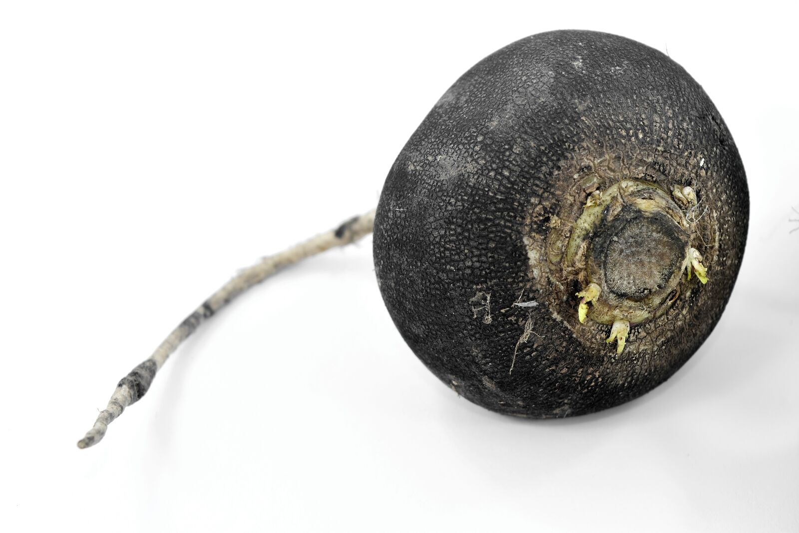 Nikon D5500 sample photo. Black, dietary, food, organic photography