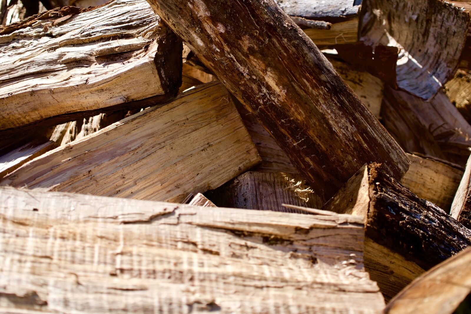 Sony a6300 + Sigma 30mm F2.8 EX DN sample photo. Wood, firewood, warm photography