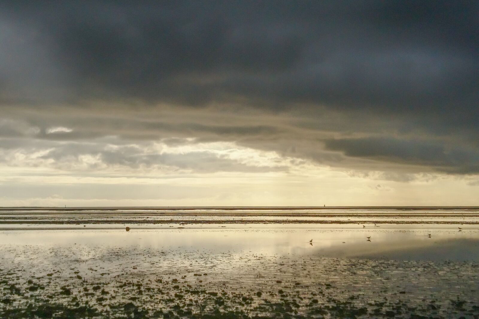 Sony Xperia X sample photo. Wadden sea, west coast photography