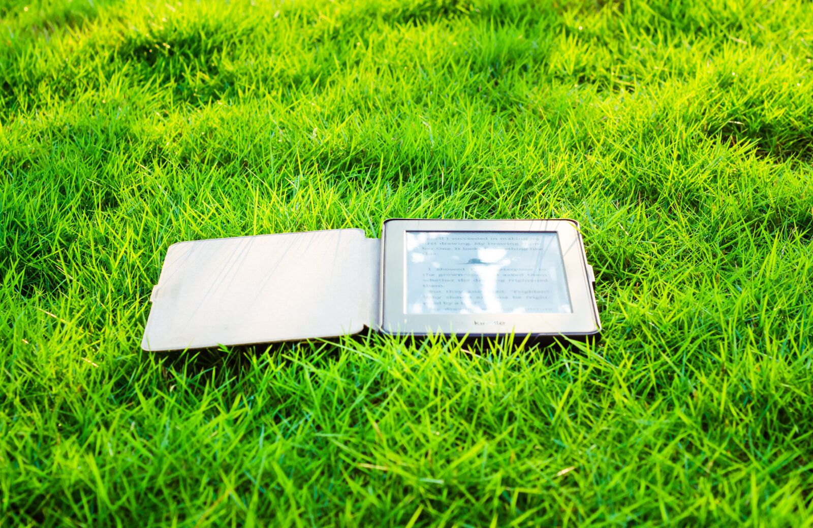 Nikon D7000 sample photo. Kindle, book, e photography