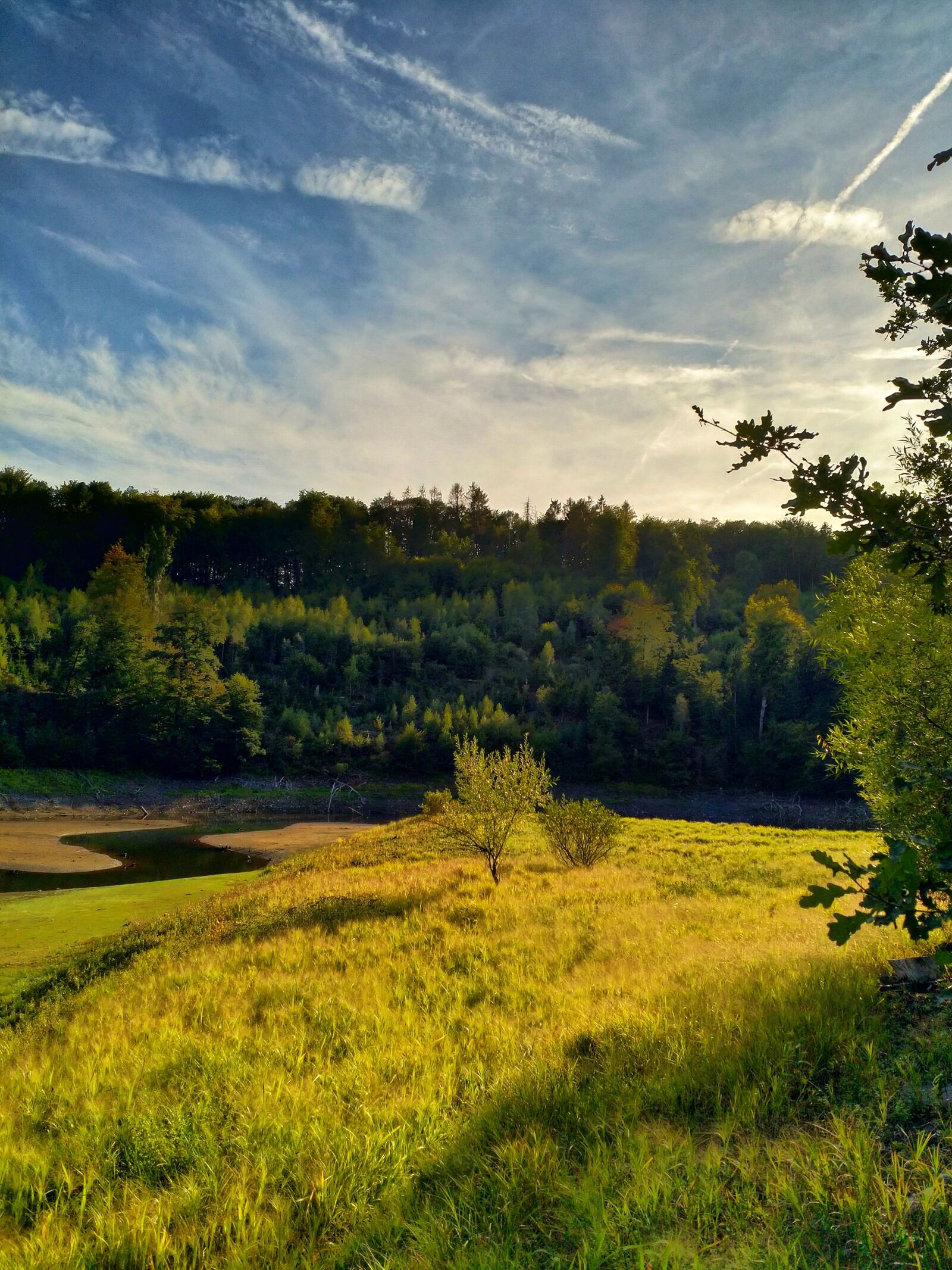 HMD Global Nokia 8 sample photo. Nature, waters, forest photography