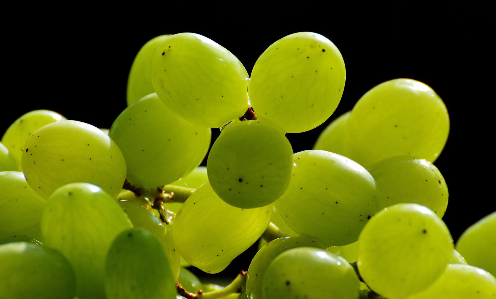 Nikon D3200 sample photo. Grapes, fruits, healthy photography