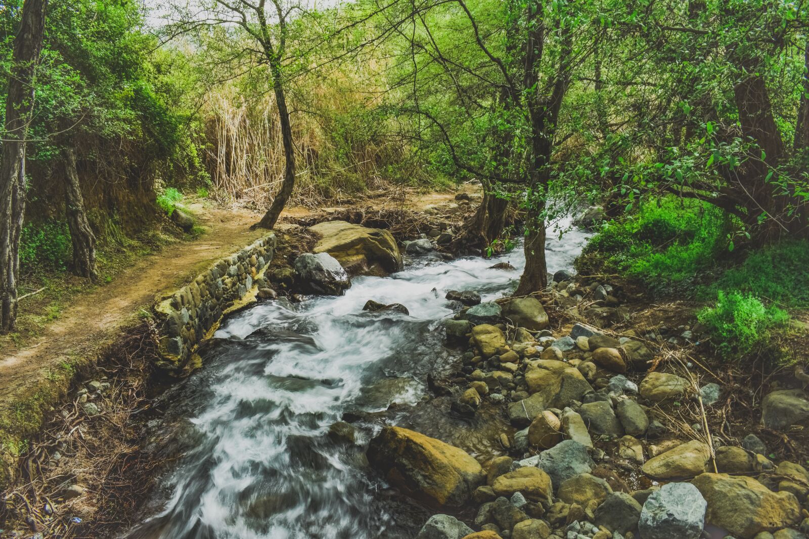 Nikon D3300 sample photo. Stream, creek, scenic photography