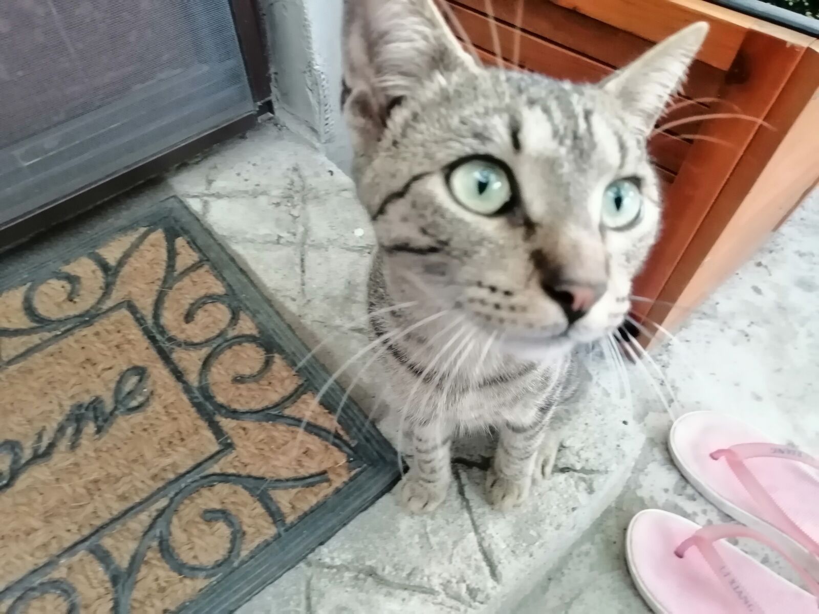 HUAWEI STK-LX1 sample photo