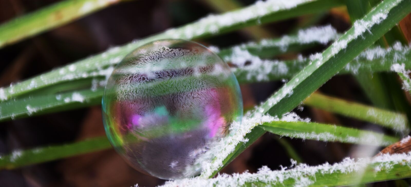 Nikon D3300 sample photo. Soap bubble, frosted, winter photography