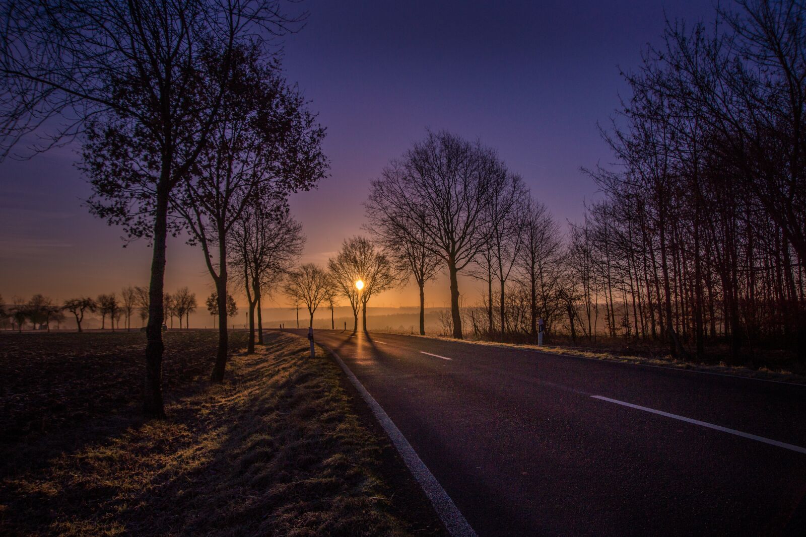 Sony SLT-A77 sample photo. Road, sunrise, trees photography