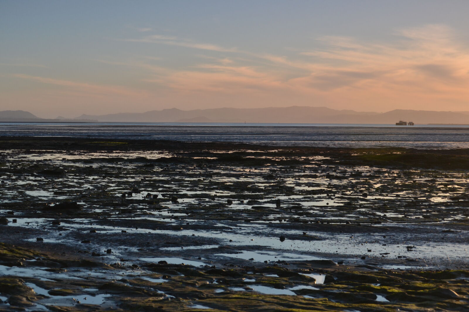 Nikon D3100 sample photo. Beach, golden, hour, manukau photography