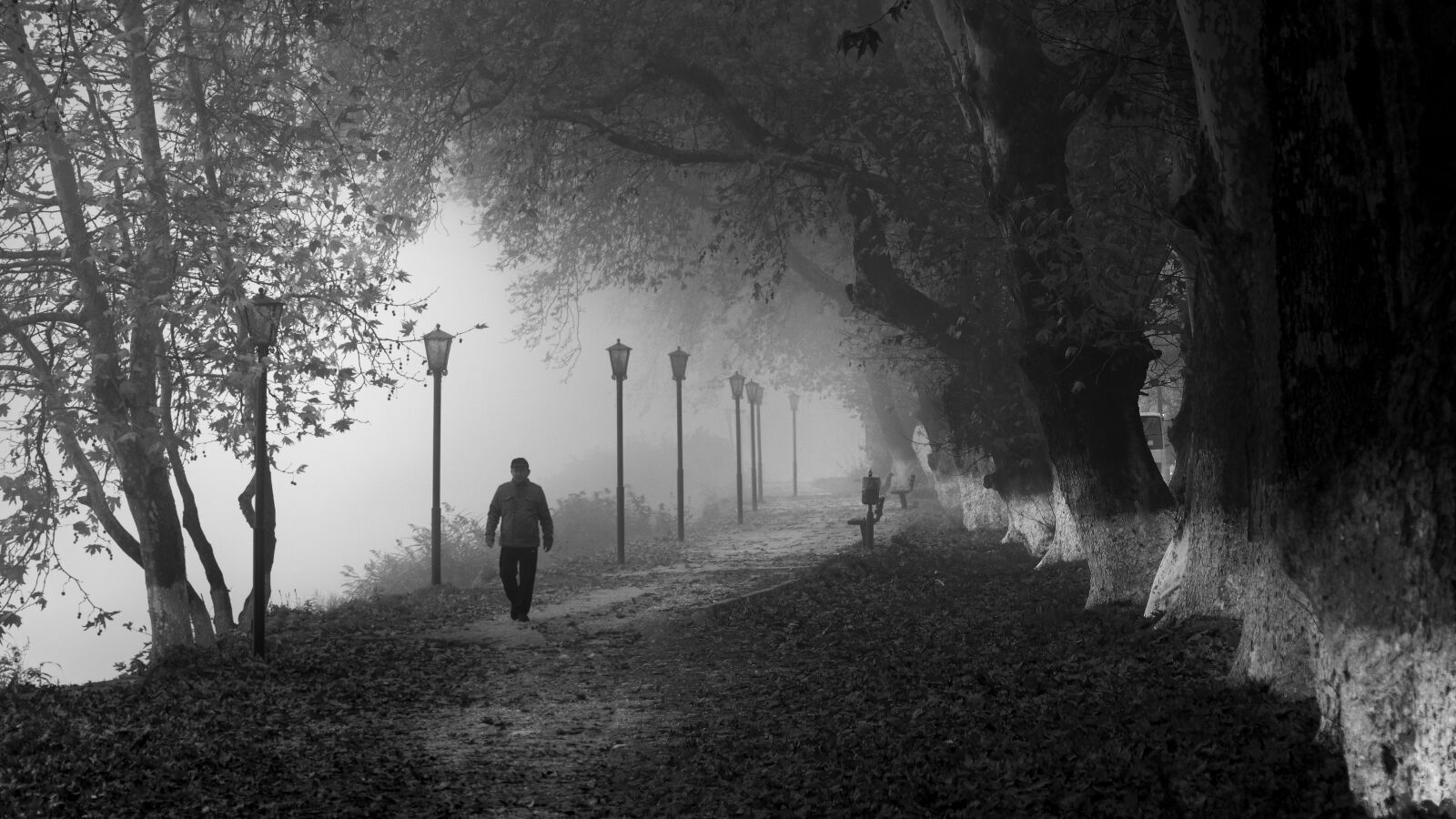 Nikon D5300 sample photo. Fog, foggy, path photography