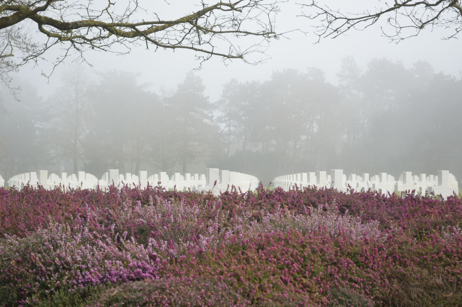 Nikon D3200 sample photo. Cemetery, fog, grey sky photography