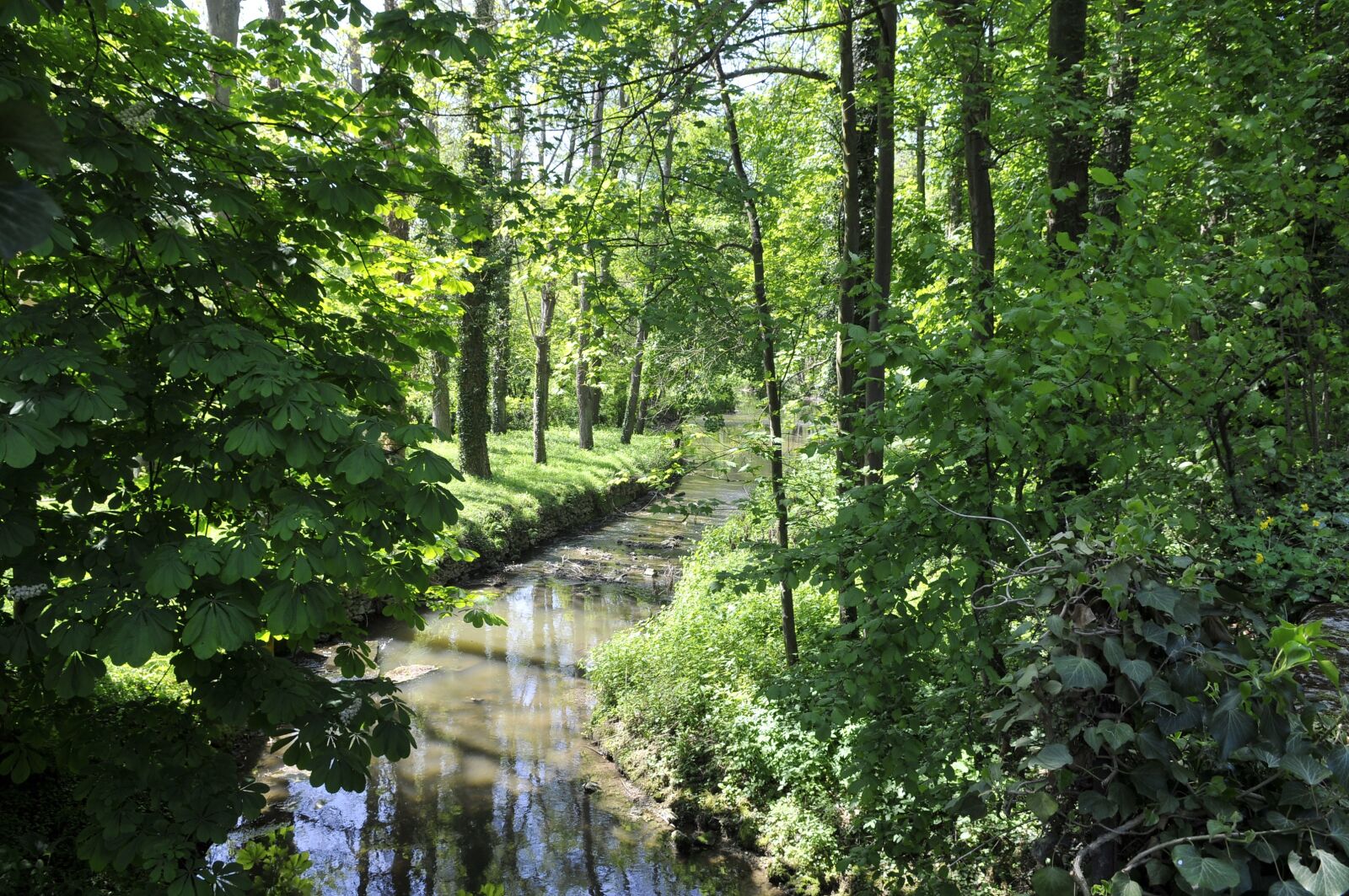 Nikon D300 sample photo. River, water's edge, yerres photography