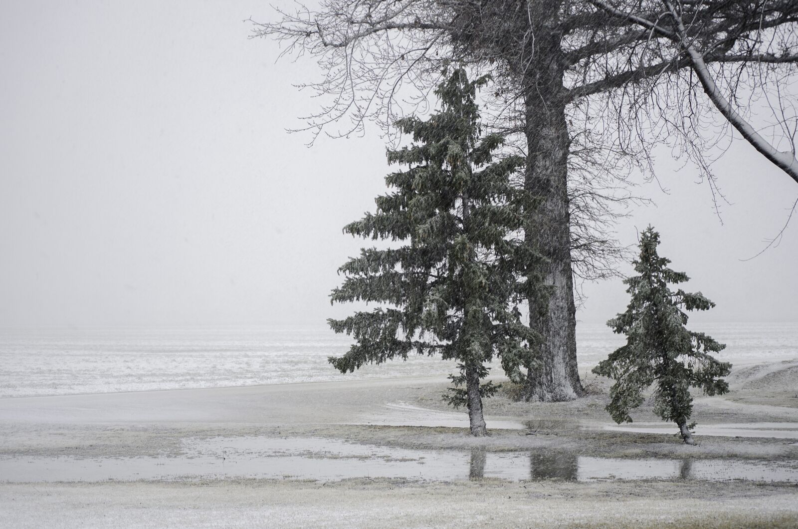 Nikon D7000 sample photo. Fog, snow, water photography