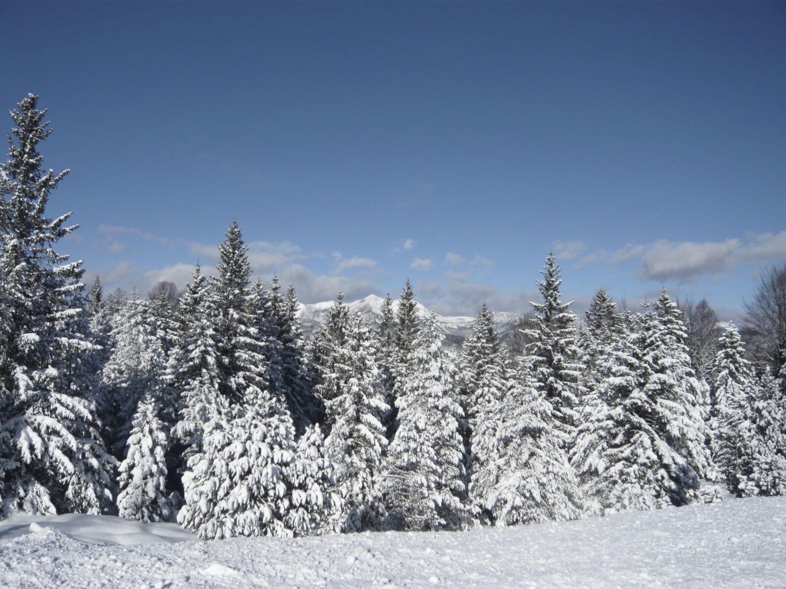 Panasonic DMC-FX55 sample photo. Snow, mountains, wintry photography