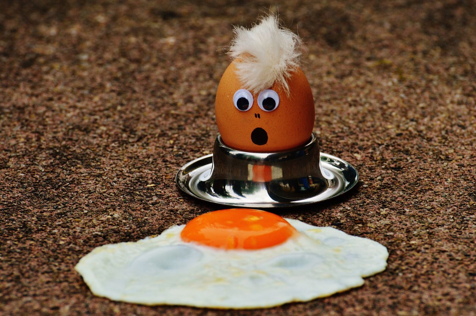 Nikon D3200 sample photo. Egg, fried, mourning photography