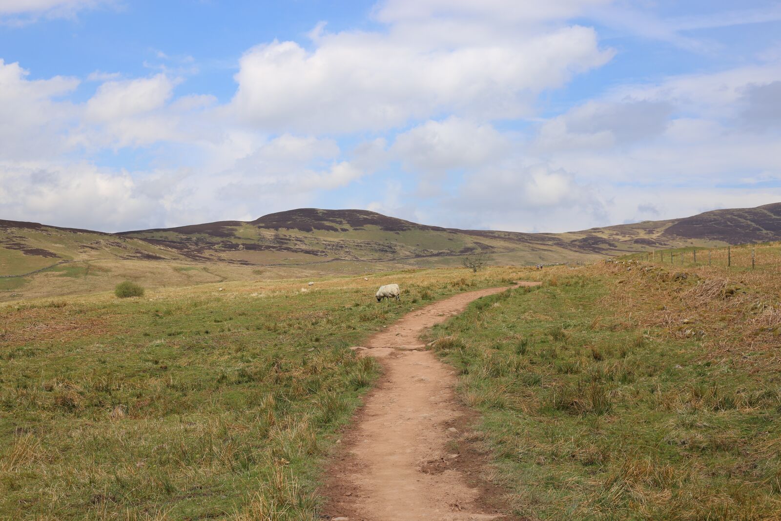 Canon EF 50mm F1.8 STM sample photo. Scenery, hill, landscape photography