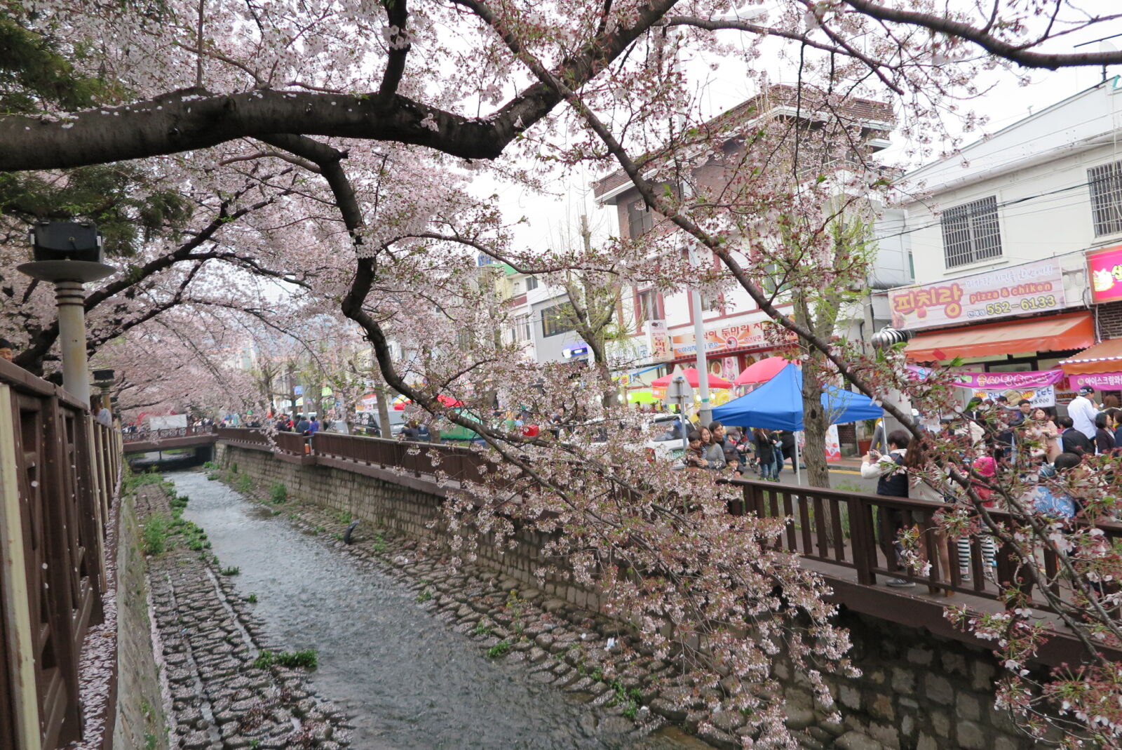 Canon PowerShot G1 X Mark II sample photo. Korea photography