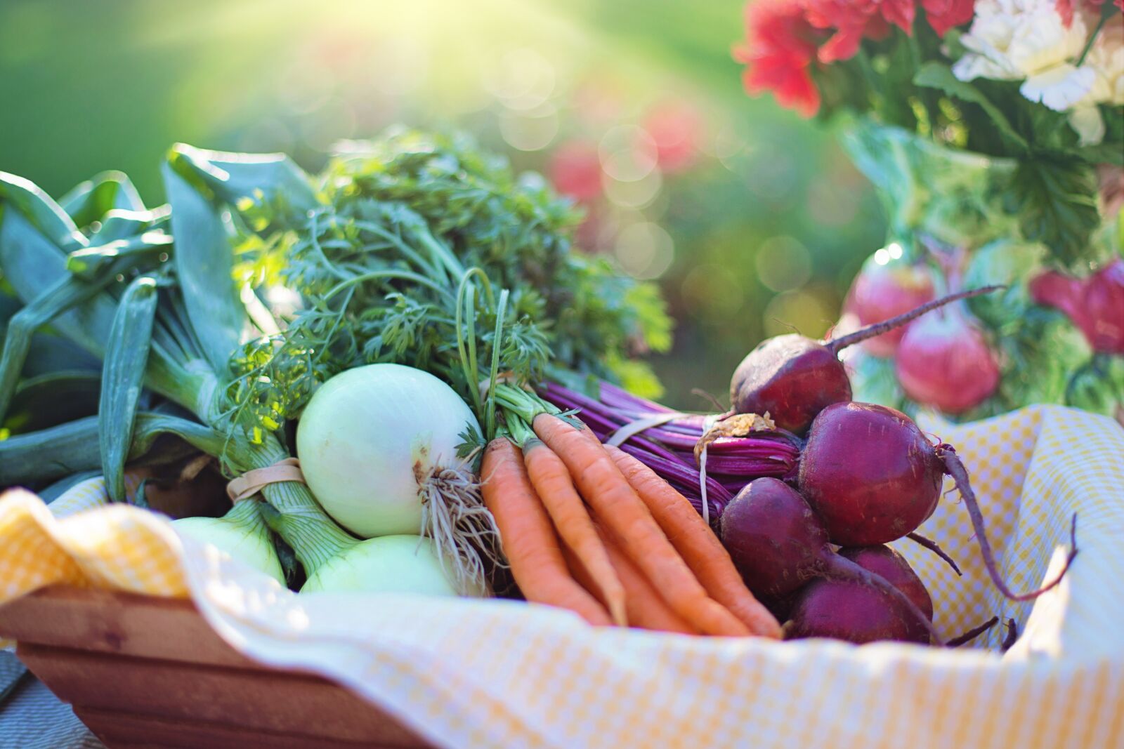 Canon EF 50mm F1.4 USM sample photo. Vegetables, onions, carrots photography