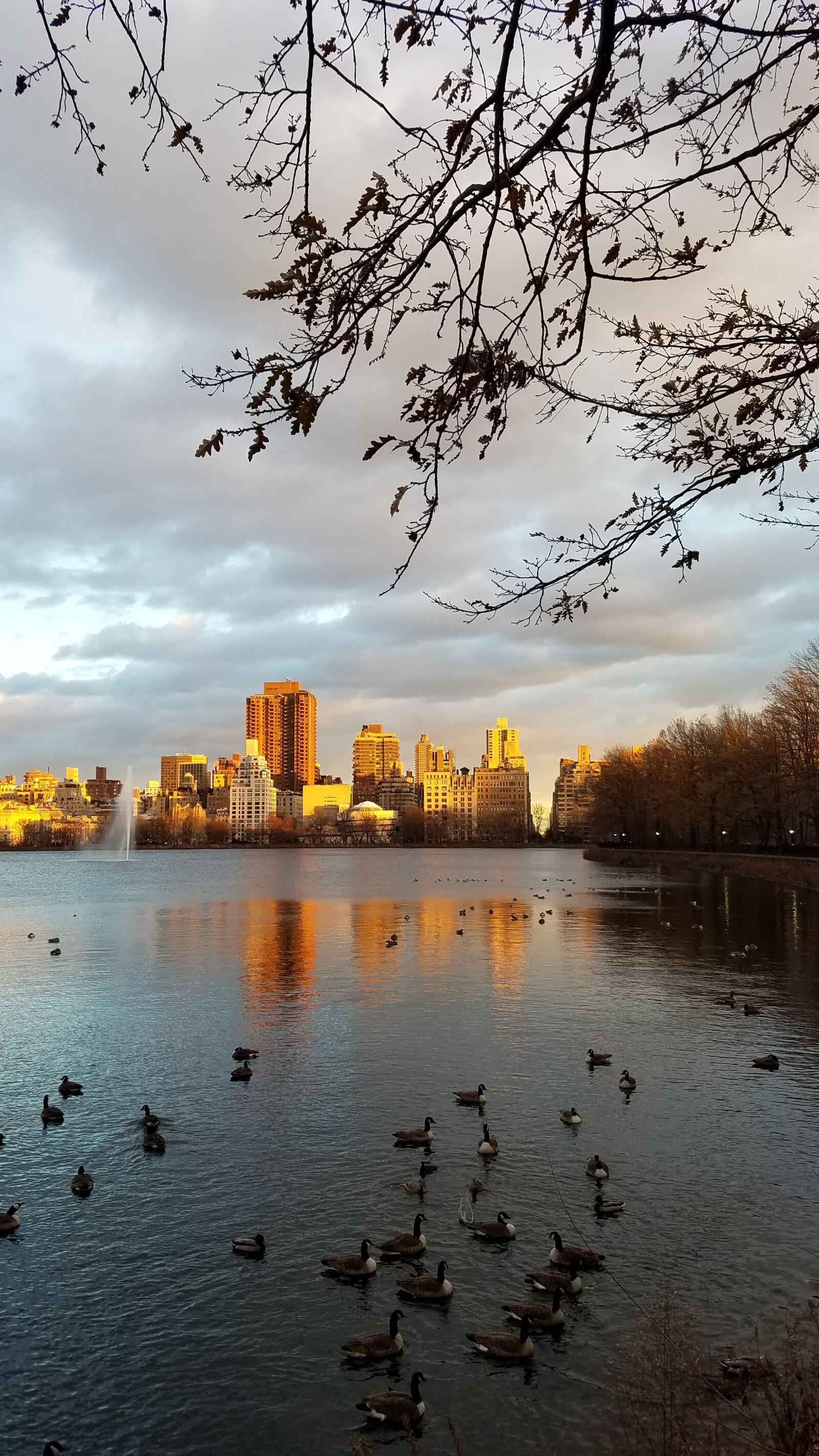 Samsung Galaxy S7 sample photo. Sunset, at, central, park photography