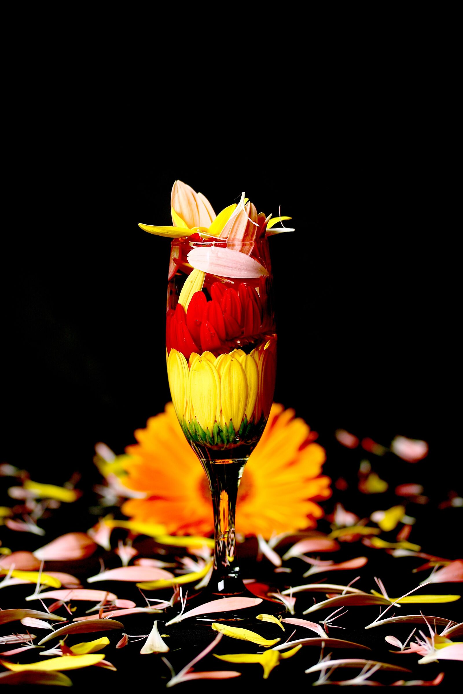 Canon EOS 40D sample photo. Flowers, flower, concept photography