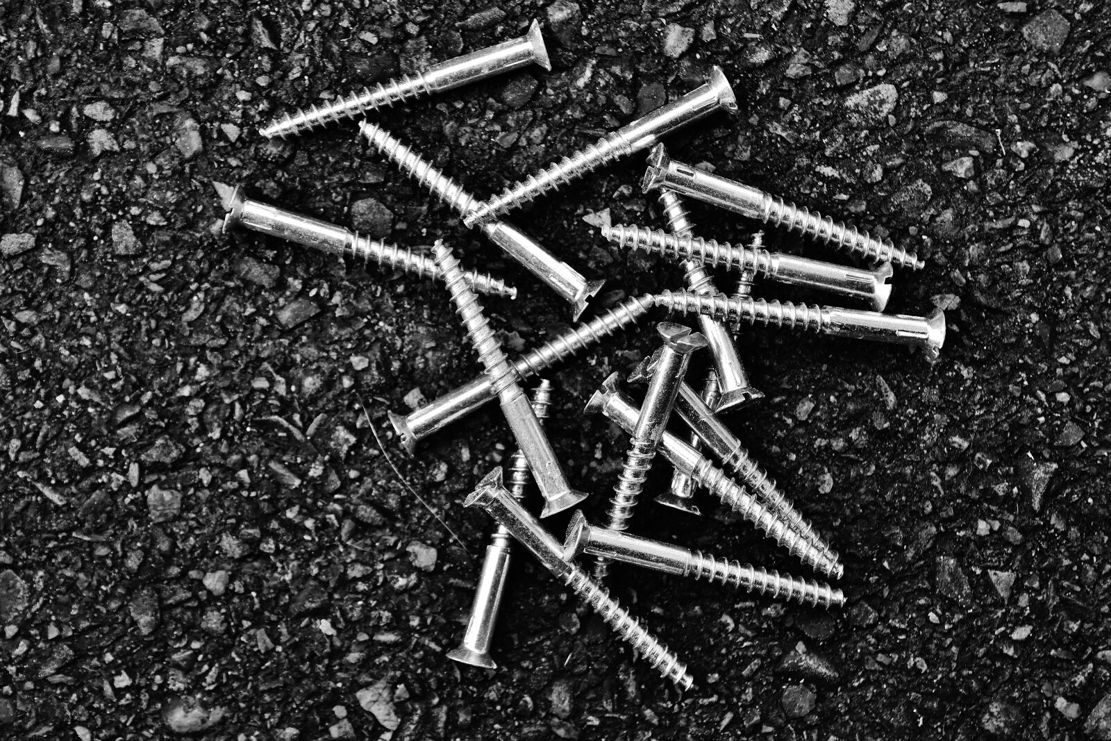 Nikon D7200 sample photo. Screw, slotted screws, silver photography