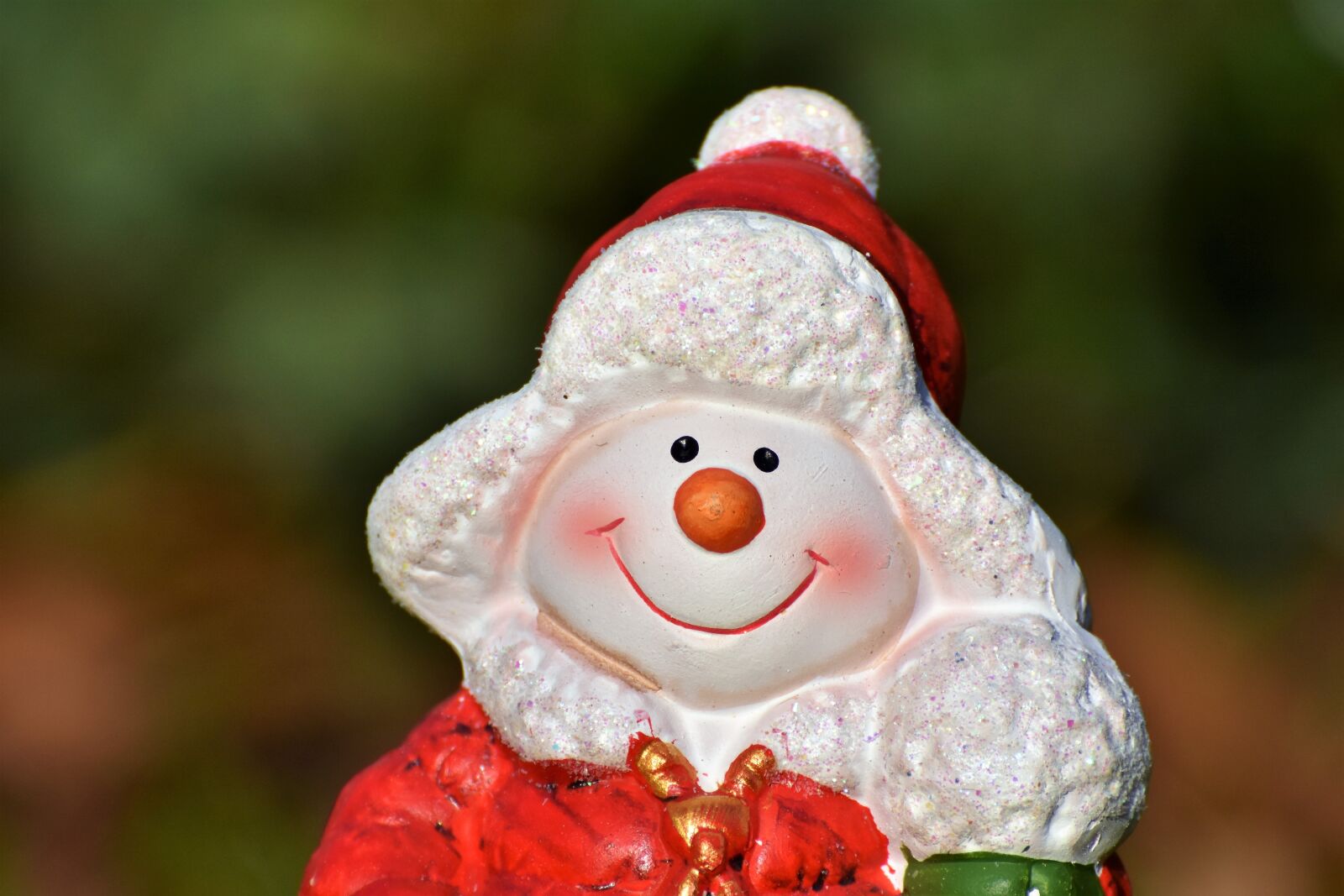 Nikon D7200 sample photo. Nicholas, santa claus, snowman photography