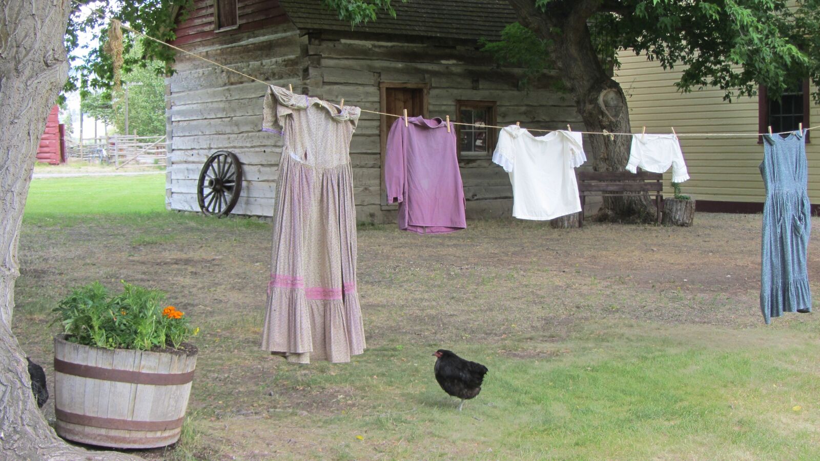 Canon PowerShot SX220 HS sample photo. Clothesline, wash, farm photography