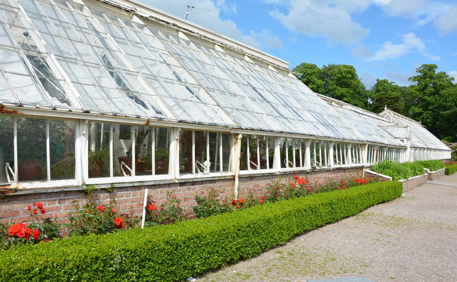 Nikon D5200 sample photo. Greenhouse, historically, old photography