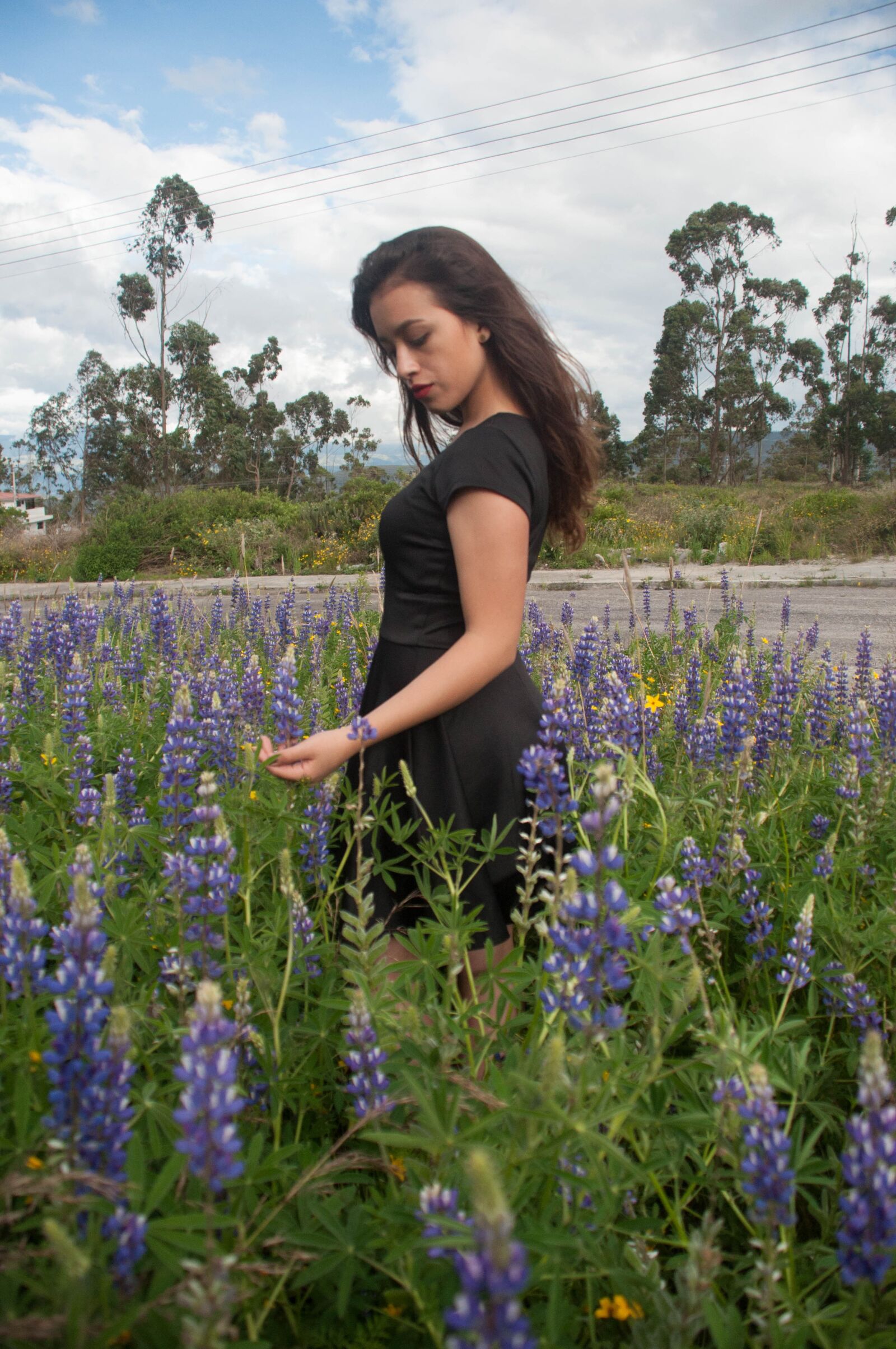 Nikon D90 sample photo. Thinking, beauty, nature photography