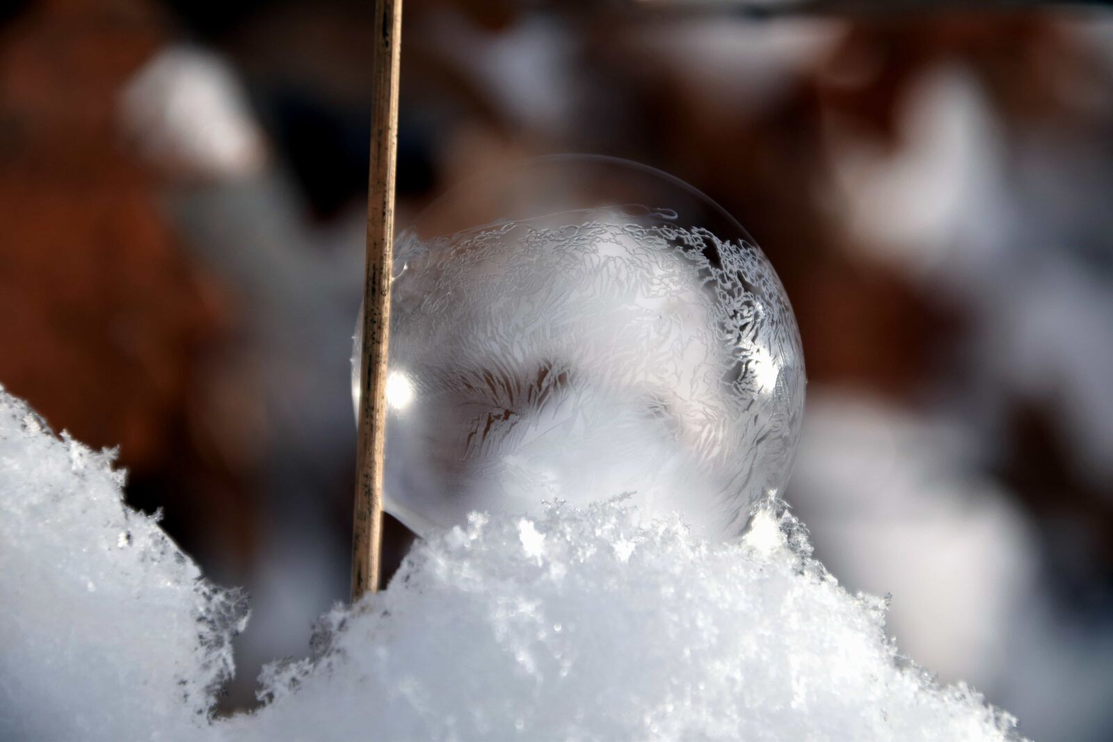 Nikon D3300 sample photo. Branch, snow, snowflake, macro photography