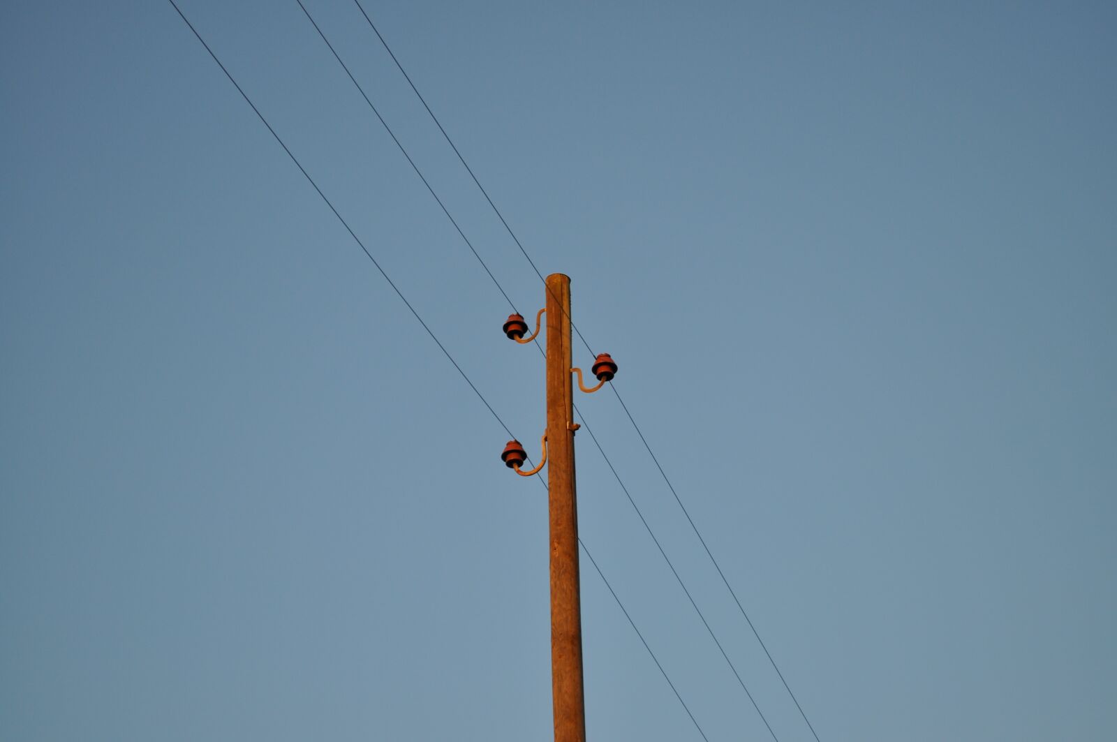 Nikon D5000 sample photo. Current, telephone pole, power photography