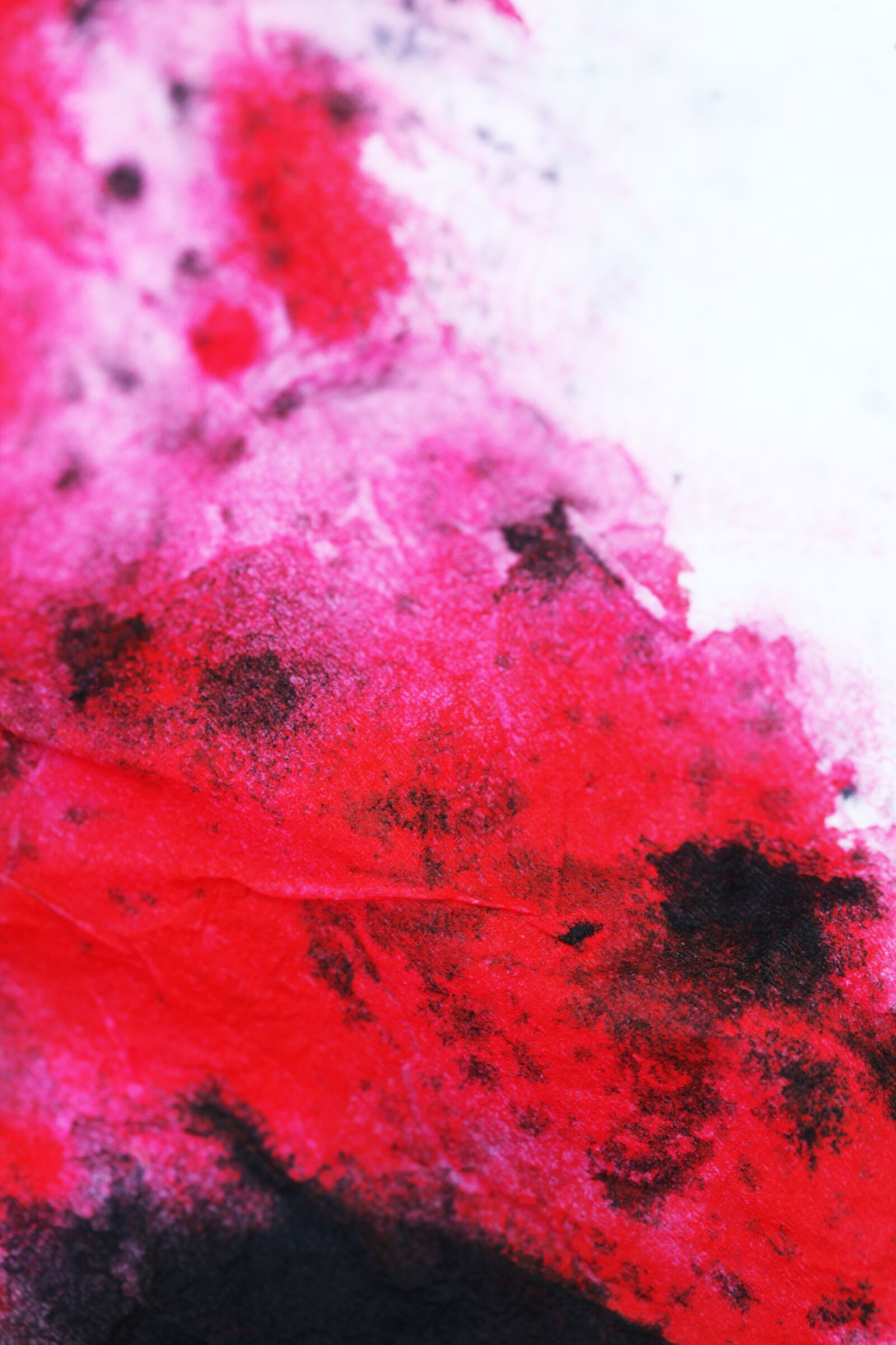 Canon EOS 5D Mark II sample photo. Watercolor, watercolour, painting photography