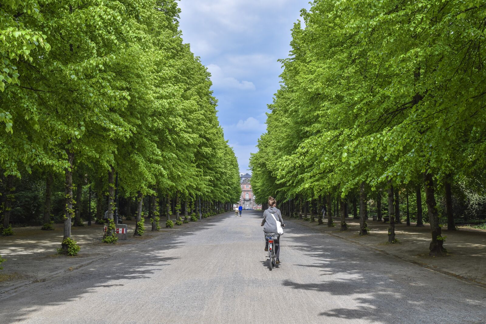 Nikon D3300 sample photo. Avenue, trees, away photography