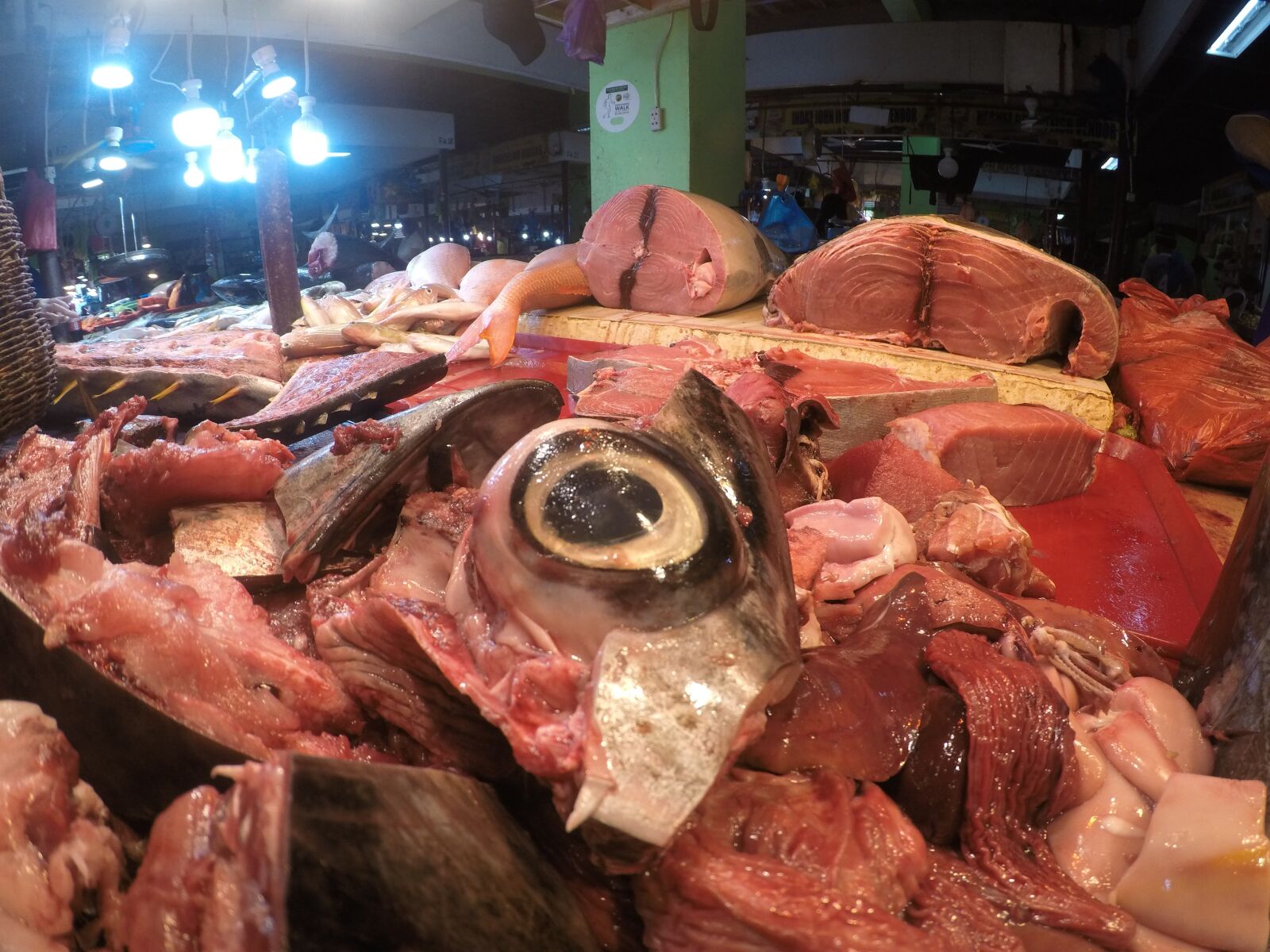 GoPro HERO sample photo. Philippines, fish market, tuna photography