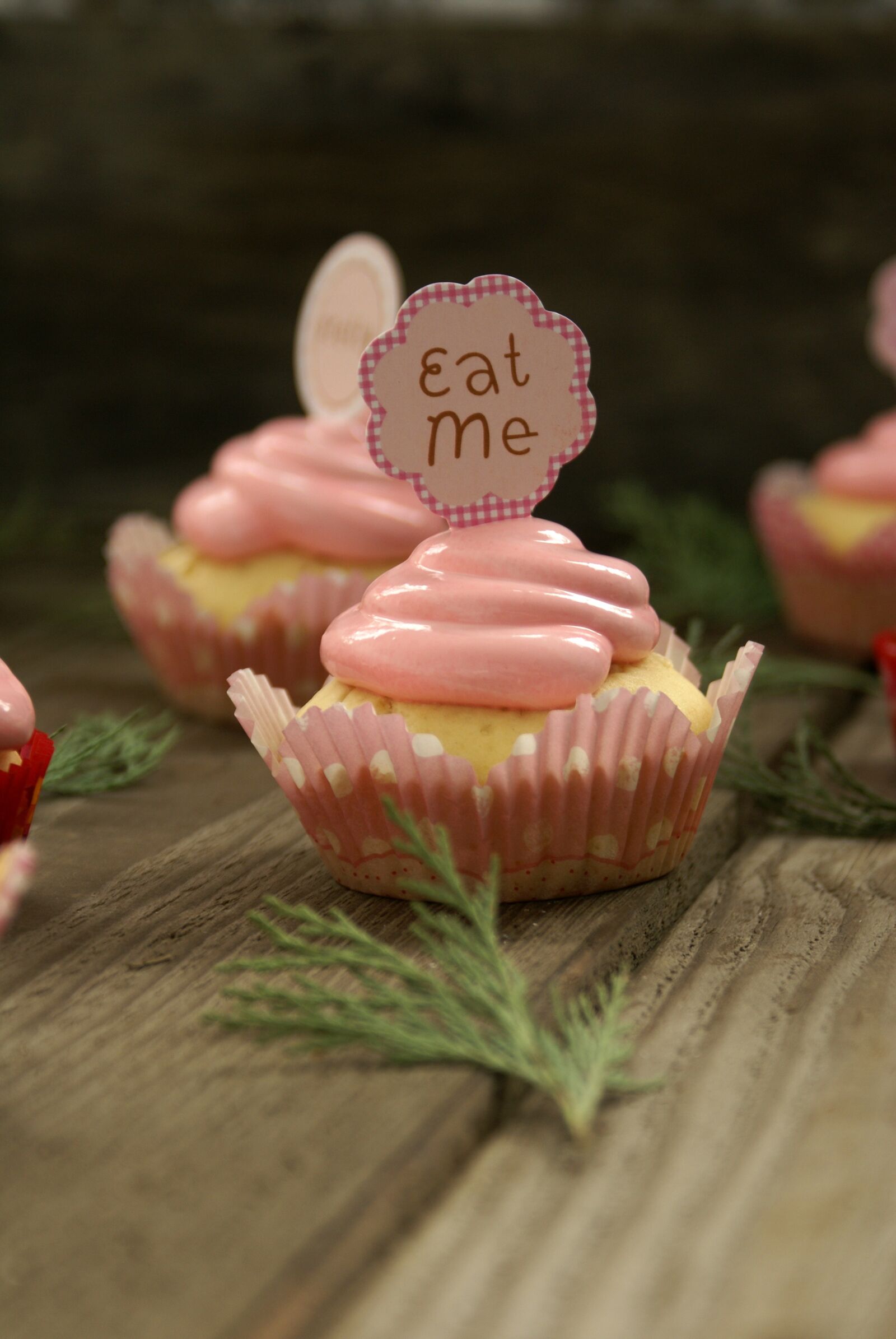 Sony Alpha DSLR-A100 sample photo. Eat me, cupcake, decoration photography