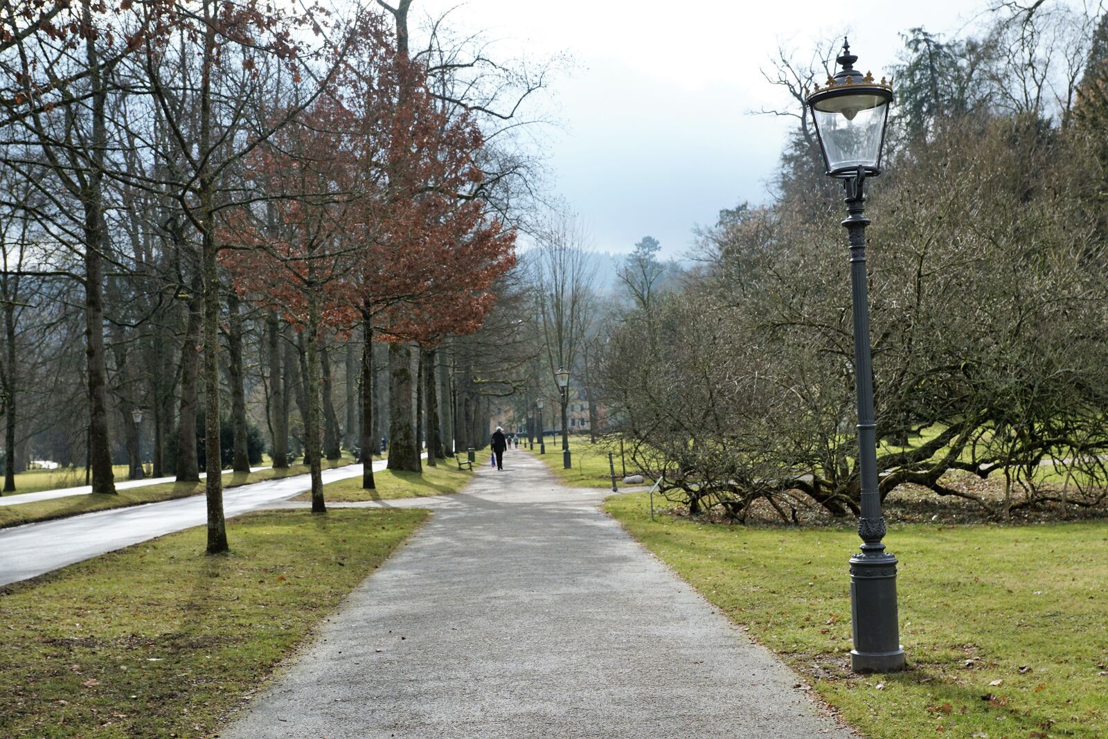 Sony ILCA-77M2 + Sony DT 16-50mm F2.8 SSM sample photo. Baden baden, park, nature photography