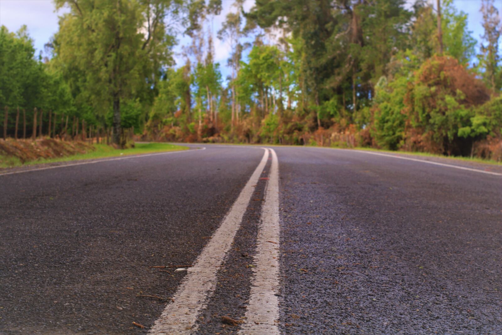 Canon EOS 750D (EOS Rebel T6i / EOS Kiss X8i) sample photo. Road, nature, landscape photography