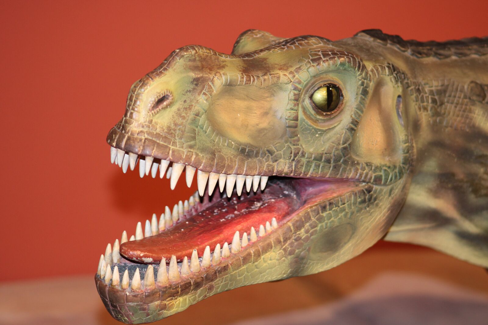 Canon EOS 2000D (EOS Rebel T7 / EOS Kiss X90 / EOS 1500D) sample photo. Dino, dinosaur, prehistoric times photography