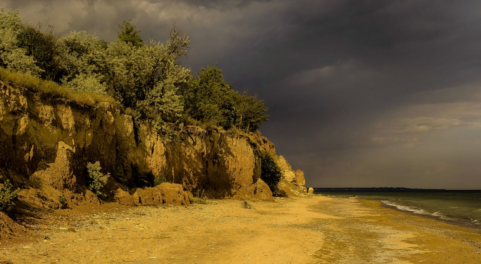 Sony Cyber-shot DSC-RX100 sample photo. Sea, beach, trees photography