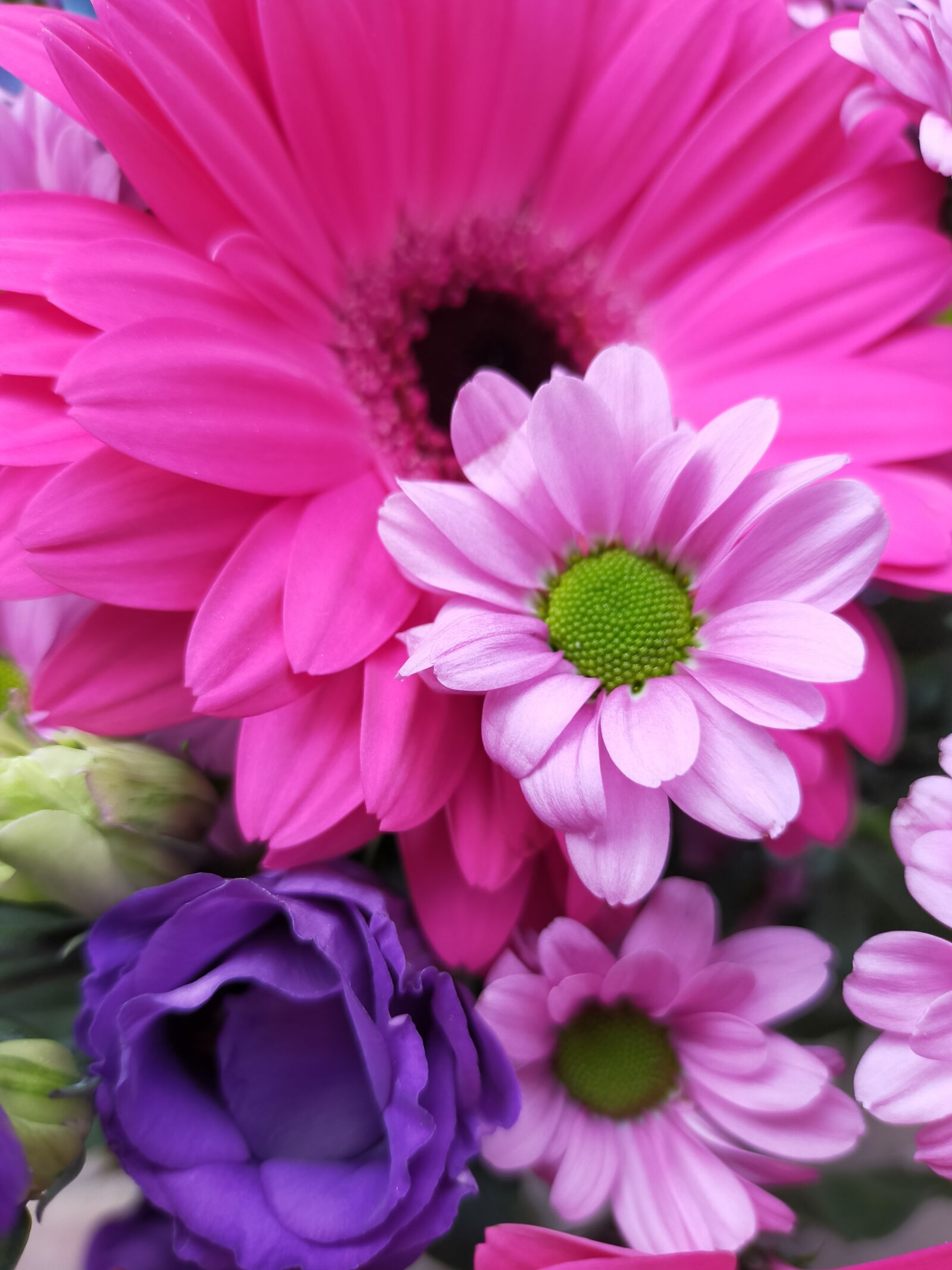 OPPO A9 2020 sample photo. Flowers, floral, chrysanthemum photography