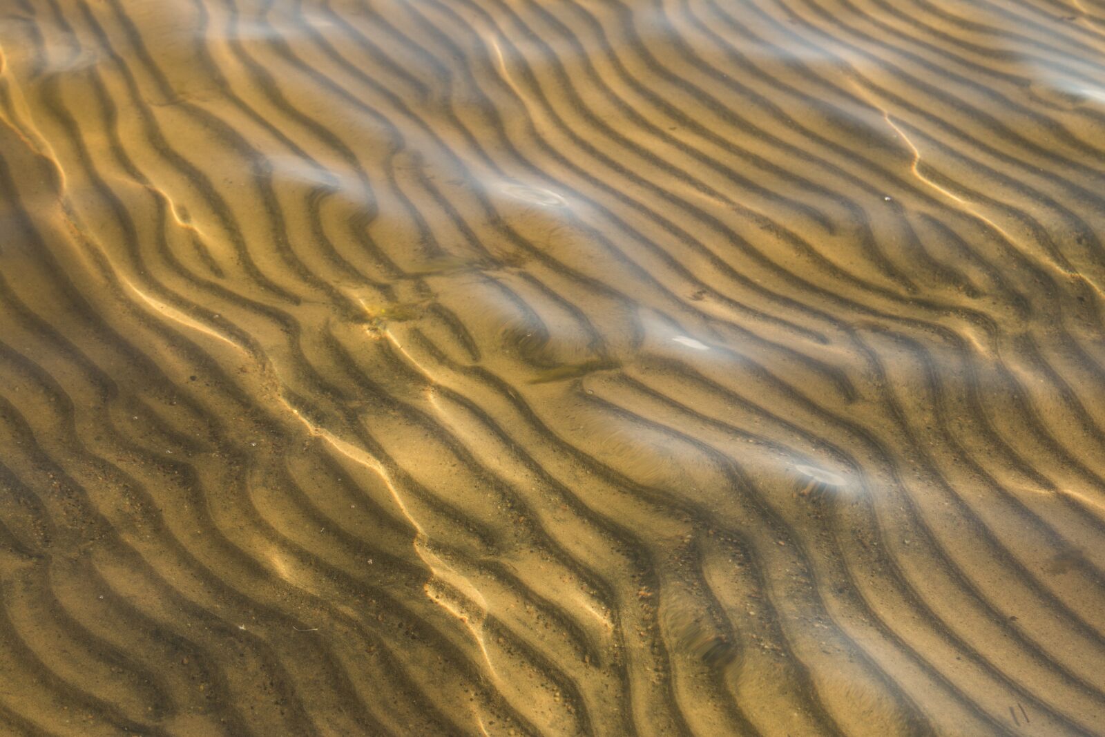 Canon EOS 70D + Canon EF 24-105mm F4L IS USM sample photo. Water, beach, sand photography