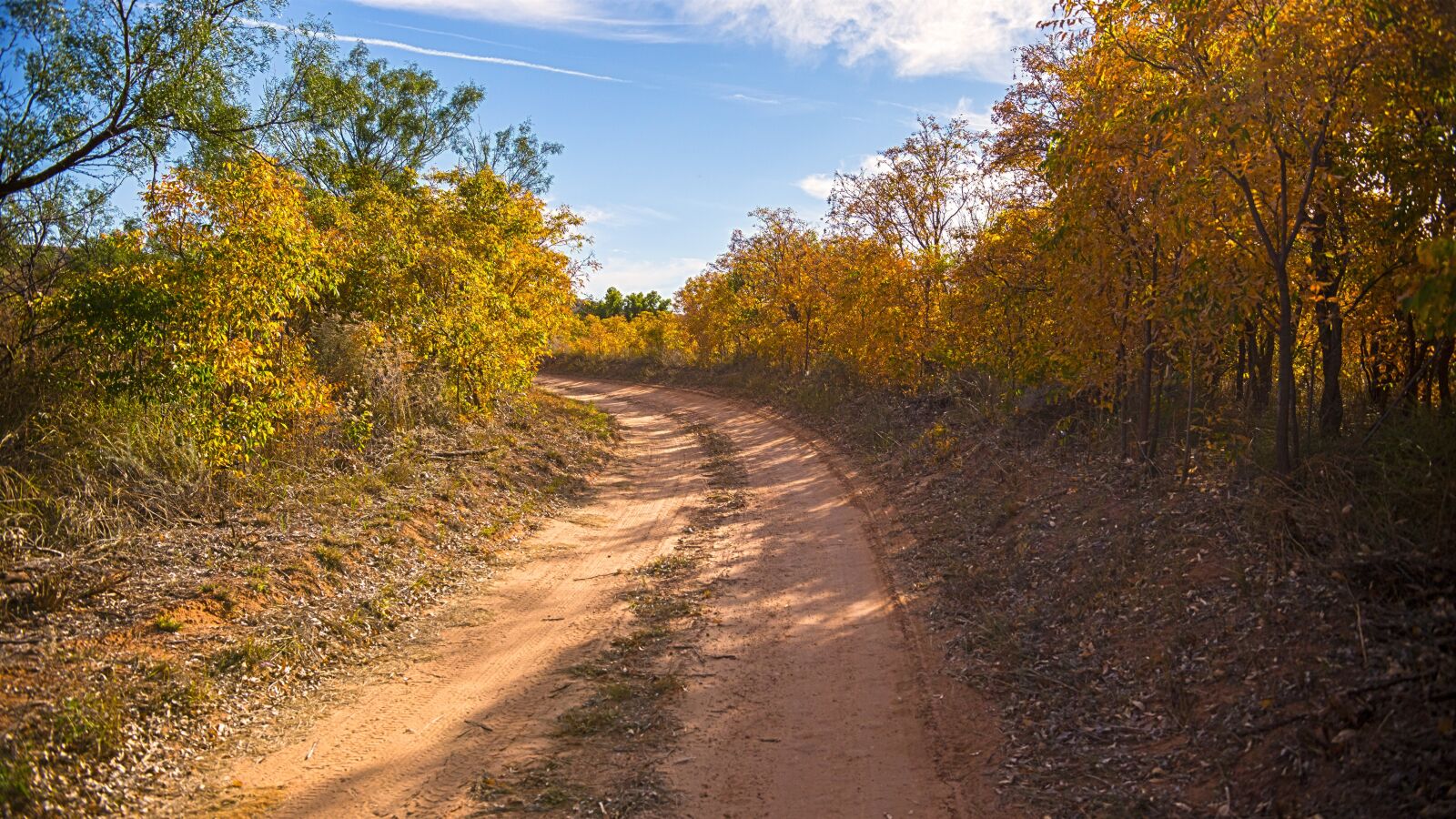 Canon EOS 6D sample photo. Trail, fall, texas photography