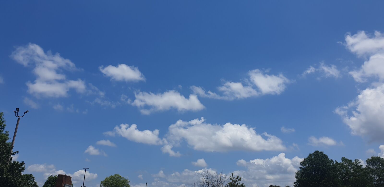 Samsung Galaxy Note9 sample photo. Sky, fair, park photography