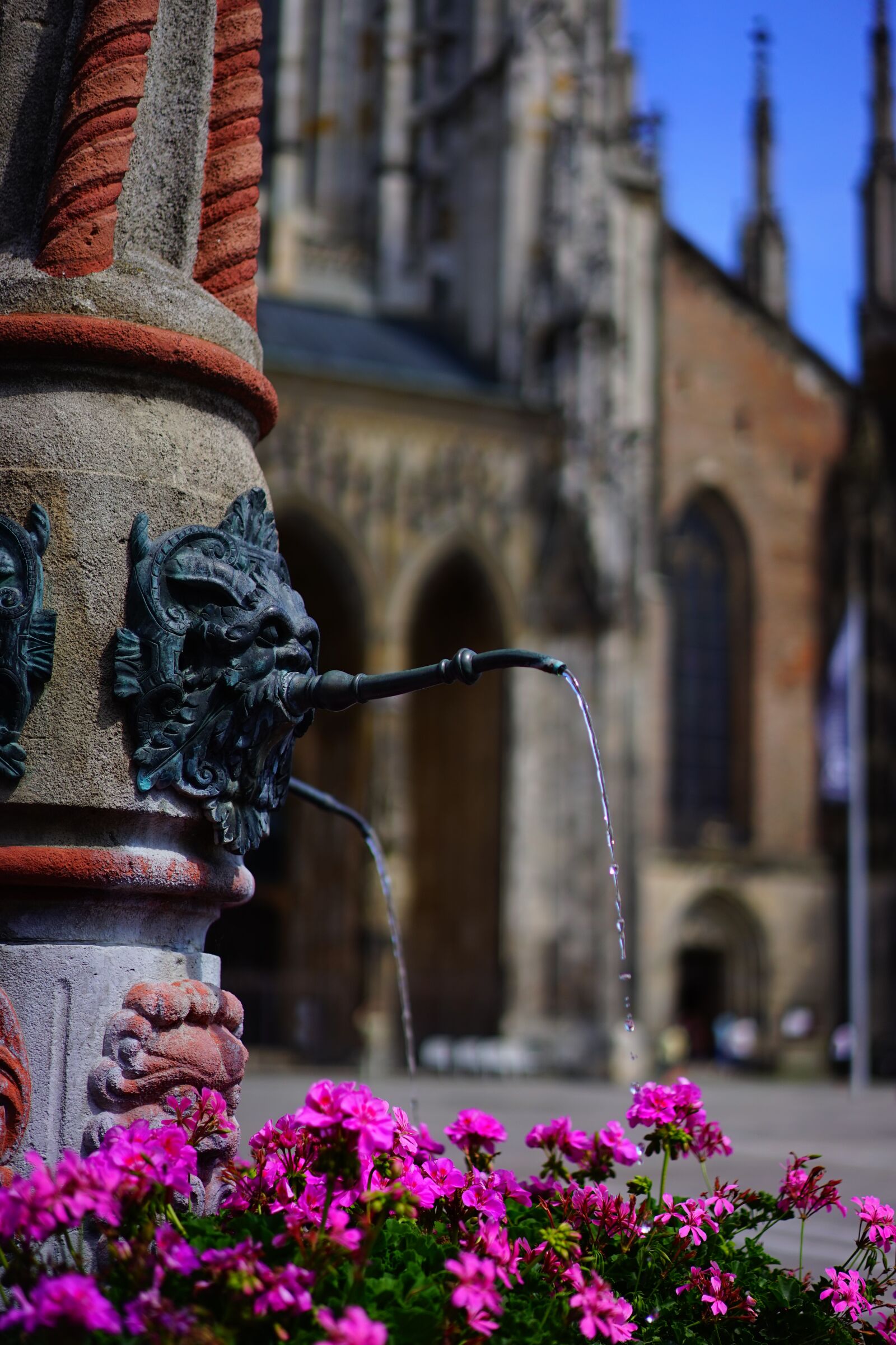 Sony a7 + Sony Sonnar T* FE 55mm F1.8 ZA sample photo. Fountain, water, geranium photography