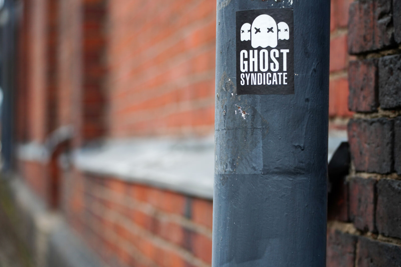 Sony a7R IV sample photo. Ghost pipe photography