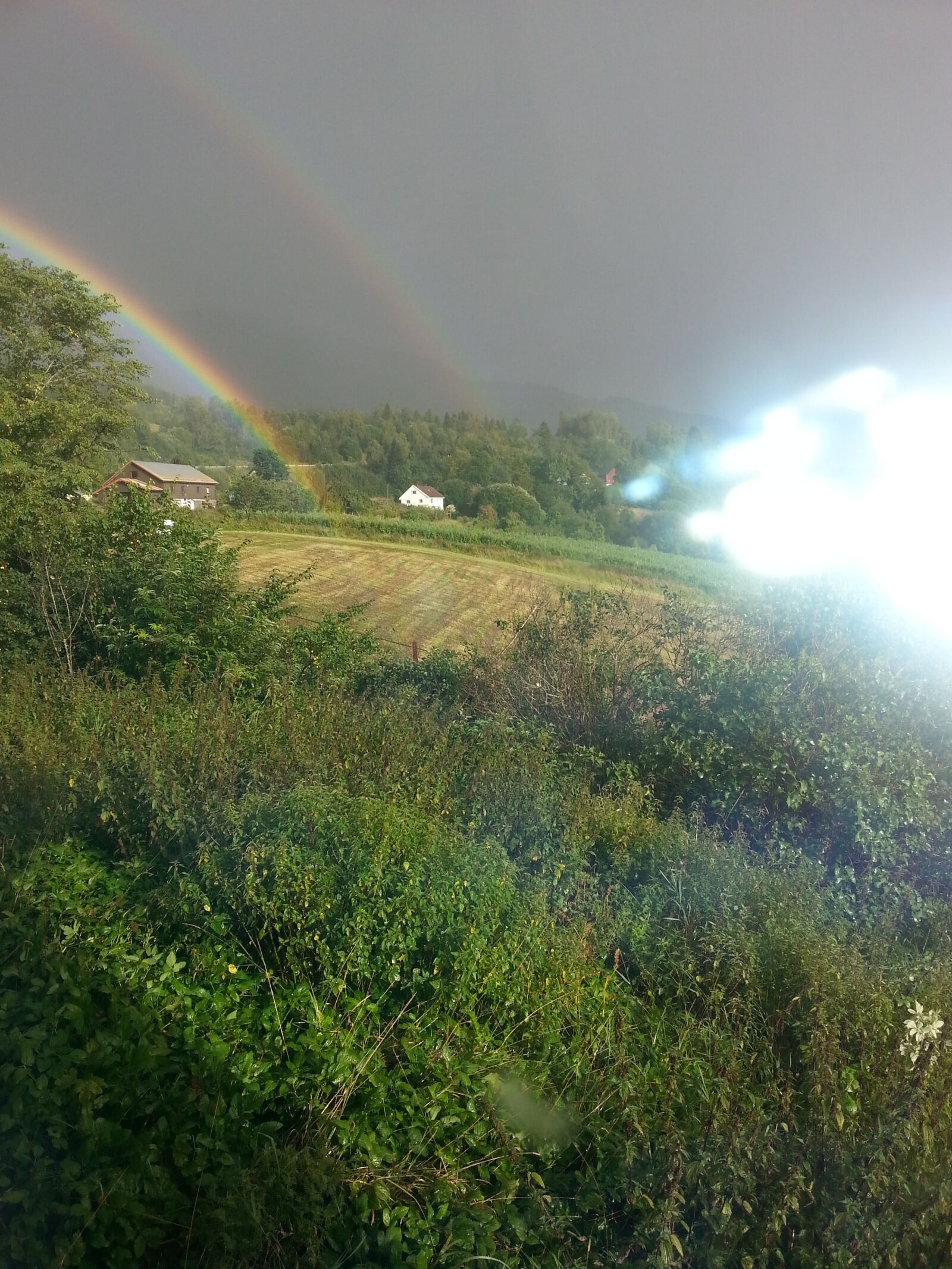Samsung Galaxy S3 sample photo. Double rainbow, trees, cloudy photography