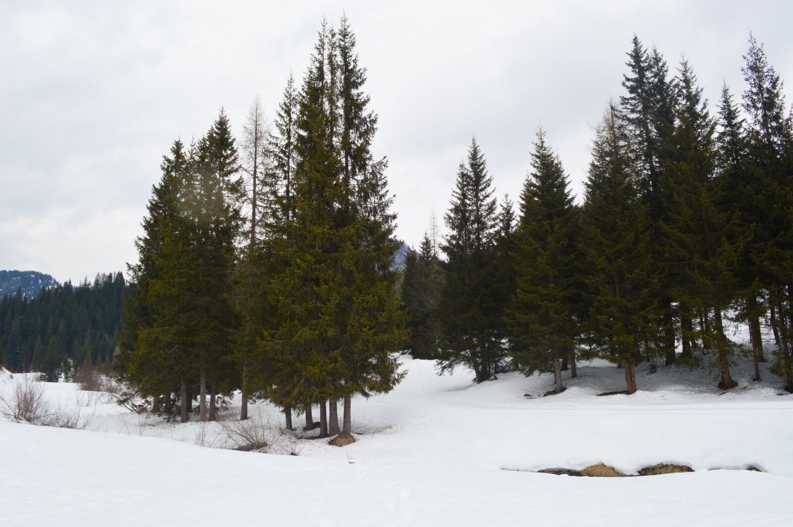 Nikon D3200 sample photo. Mountains, snow, trees photography